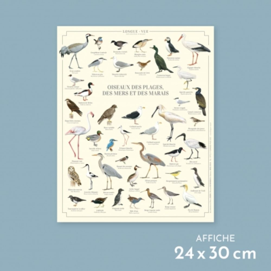Oiseaux des plages, des mers et des marais - Affiche 24 x 30 cm
