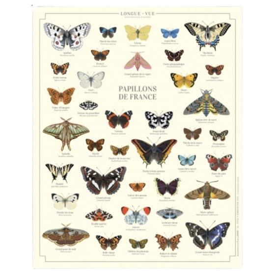 Papillons de France - Affiche 24 x 30 cm