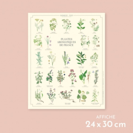 Plantes aromatiques de France - Affiche 24 x 30 cm