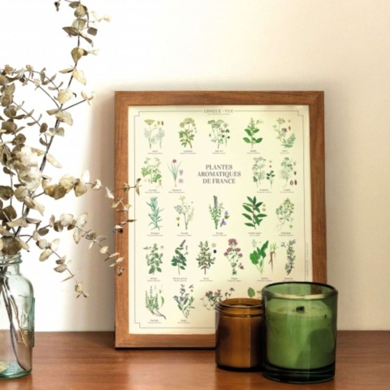 Plantes aromatiques de France - Affiche 24 x 30 cm