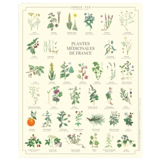 Plantes médicinales de France - Affiche 24 x 30 cm