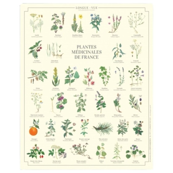 Plantes médicinales de France - Affiche 24 x 30 cm