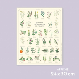 Plantes médicinales de France - Affiche 24 x 30 cm