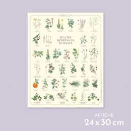 Plantes médicinales de France - Affiche 24 x 30 cm