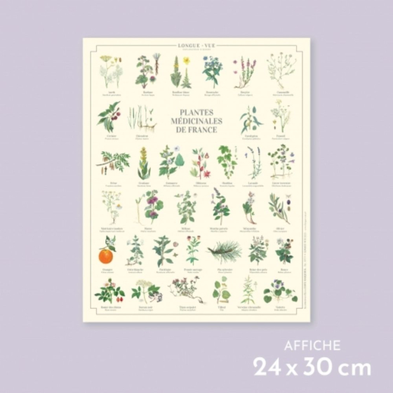 Plantes médicinales de France - Affiche 24 x 30 cm