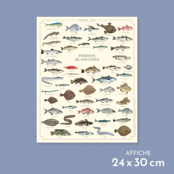 Poissons de nos côtes - Affiche 24 x 30 cm