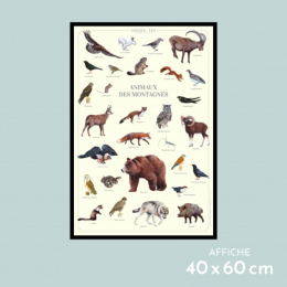 Animaux des montagnes - Affiche 40 x 60 cm