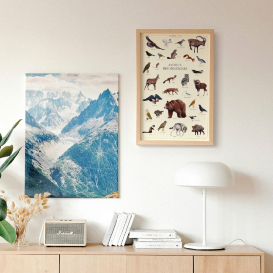 Animaux des montagnes - Affiche 40 x 60 cm