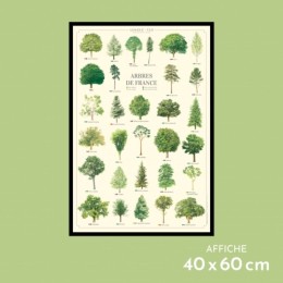 Arbres de France - Affiche 40 x 60 cm