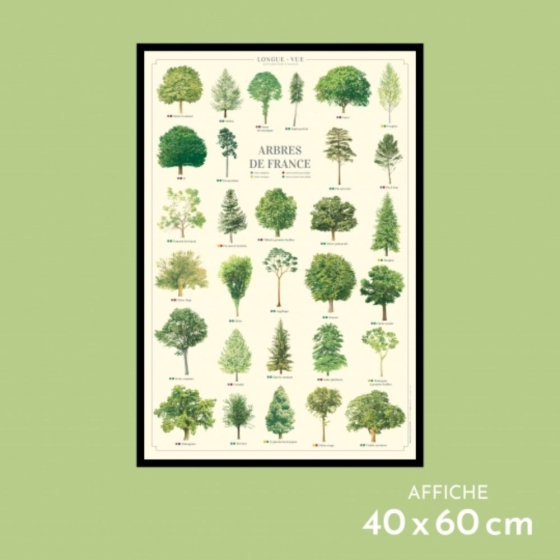 Arbres de France - Affiche 40 x 60 cm
