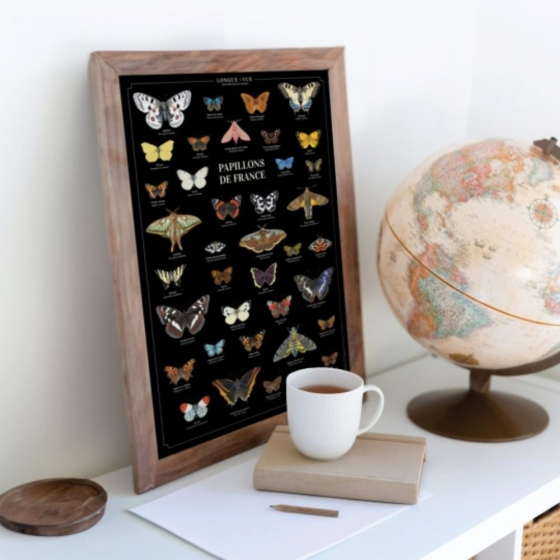 Papillons de France - Affiche 40 x 60 cm