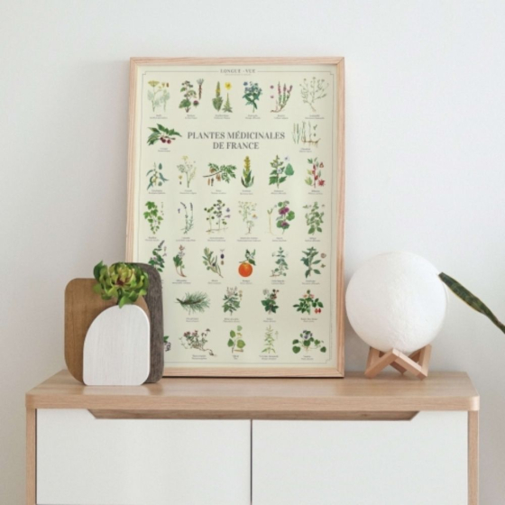 Plantes médicinales de France - Affiche 40 x 60 cm