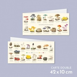 Champignons de France - Carte double