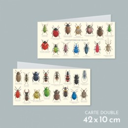 Coléoptères de France - Carte double