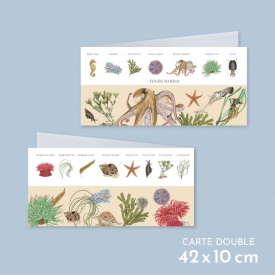 Fonds marins - Carte double