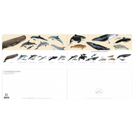 Mammifères marins - Carte double