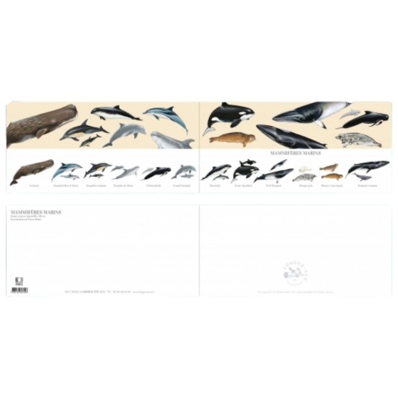 Mammifères marins - Carte double