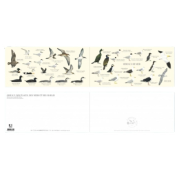 Oiseaux de mer - Carte double
