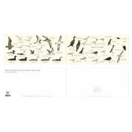 Oiseaux de mer - Carte double