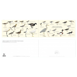 Oiseaux des plages, des mers et des marais - Carte double