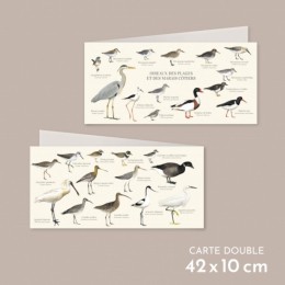 Oiseaux des plages, des mers et des marais - Carte double