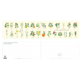Plantes à parfums de France - Carte double