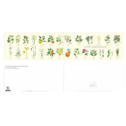 Plantes à parfums de France - Carte double
