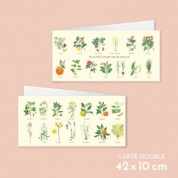 Plantes à parfums de France - Carte double