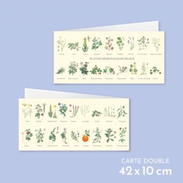 Plantes médicinales de France - Carte double