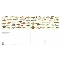 Poissons de nos côtes - Carte double