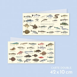 Poissons de nos côtes - Carte double
