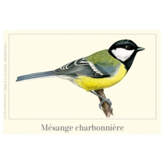 Mésange charbonnière - Magnet