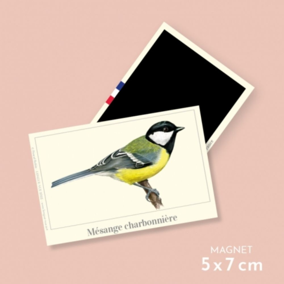 Mésange charbonnière - Magnet
