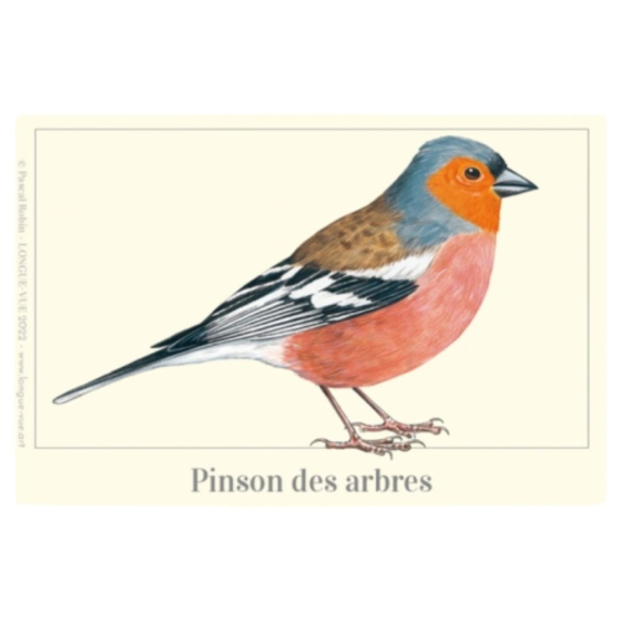 Pinson des arbres - Magnet