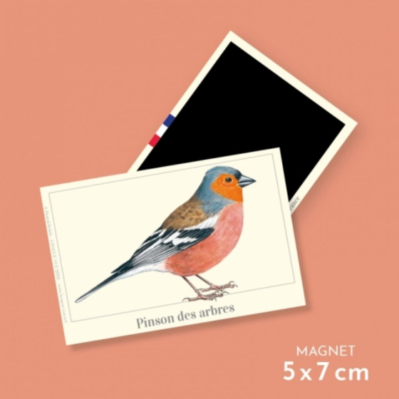 Pinson des arbres - Magnet