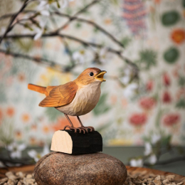 Décobird Rossignol philomèle