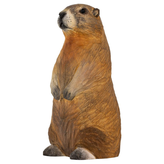 Décoanimal Marmotte des alpes