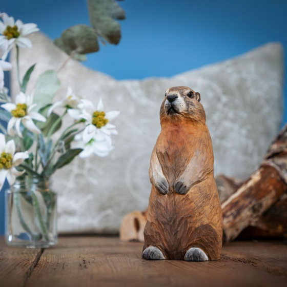 Décoanimal Marmotte des alpes