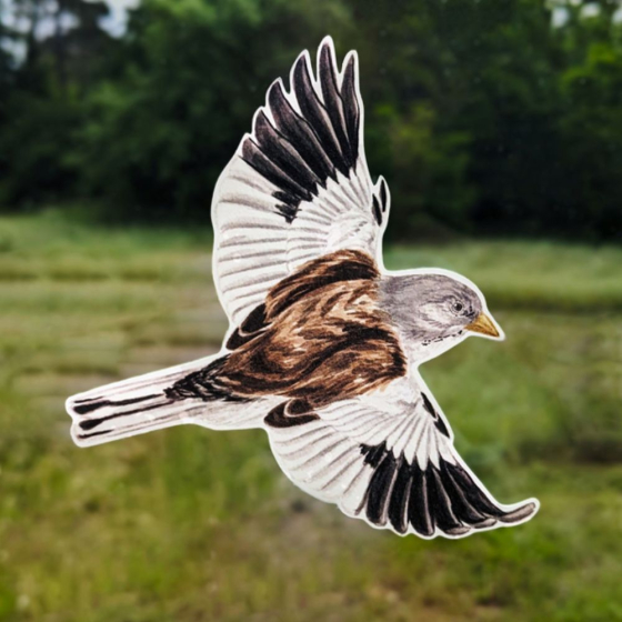 Silhouettes anti-collisions : Pack de 4 oiseaux des montagnes