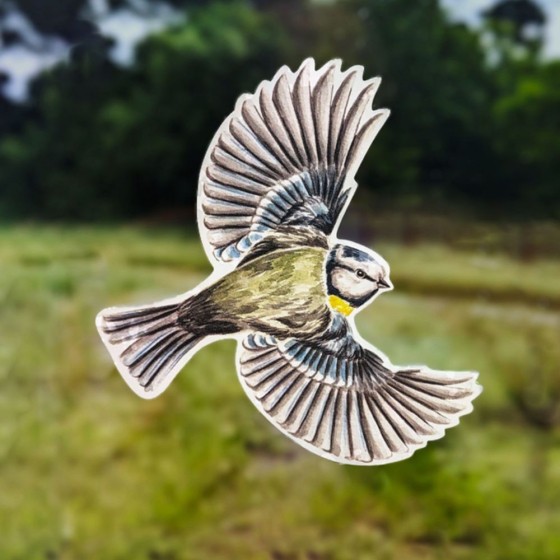 Silhouette anti-collision : Mésange bleue en vol