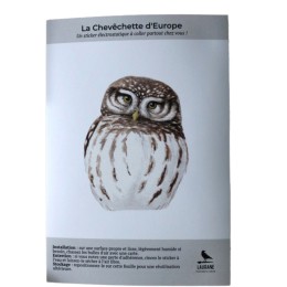 Silhouette anti-collision : Chevêchette d'Europe