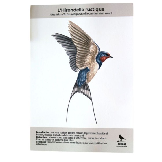 Silhouette anti-collision : Hirondelle rustique