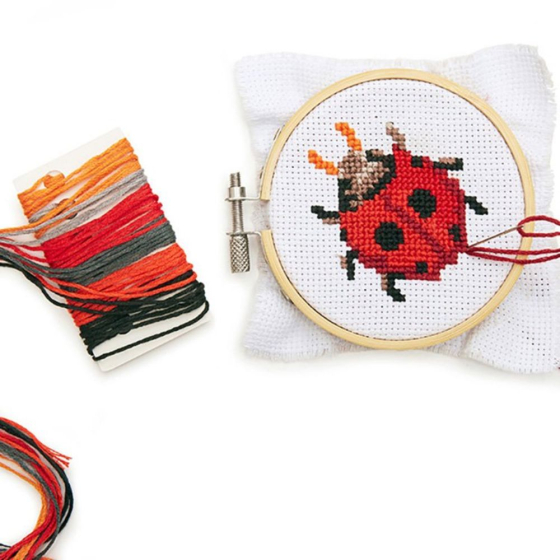 Mini broderie Pont de croix : Coccinelle