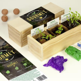 Kit d’Auto-culture Gourmet - Persil, basilic et coriandre