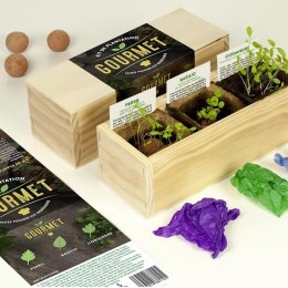 Kit d’Auto-culture Gourmet - Persil, basilic et coriandre