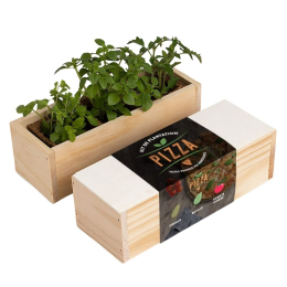 Kit d’Auto-culture Pizza - Origan, basilic et tomate cerise