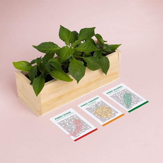 Kit d’Auto-culture Épices - Piment, habanero et jalapeño