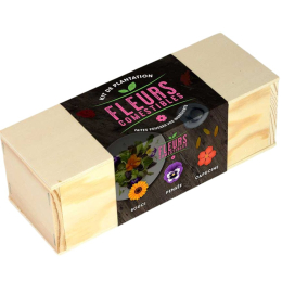 Kit d’Auto-culture Fleurs comestibles - Souci, pensée et capucine