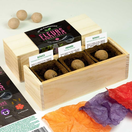 Kit d’Auto-culture Fleurs comestibles - Souci, pensée et capucine