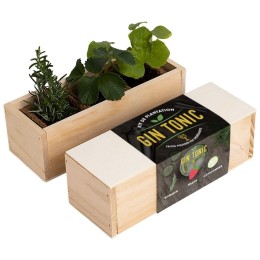 Kit d'Auto-culture Gin Tonic - Romarin, fraise et concombre